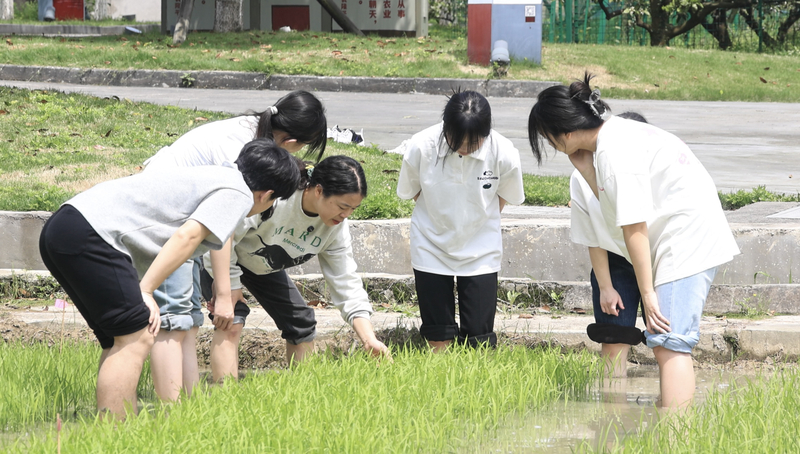 孙琴.jpg